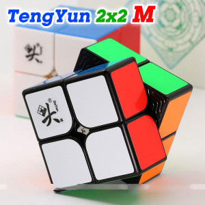 Dayan 2x2x2 cube magnetic - TengYun M