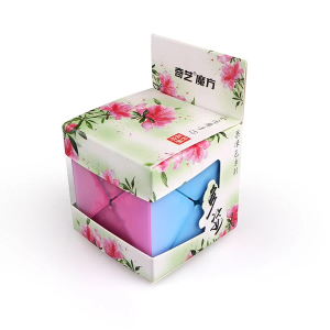 QiYi cube transparent Jelly colour series of Dino X